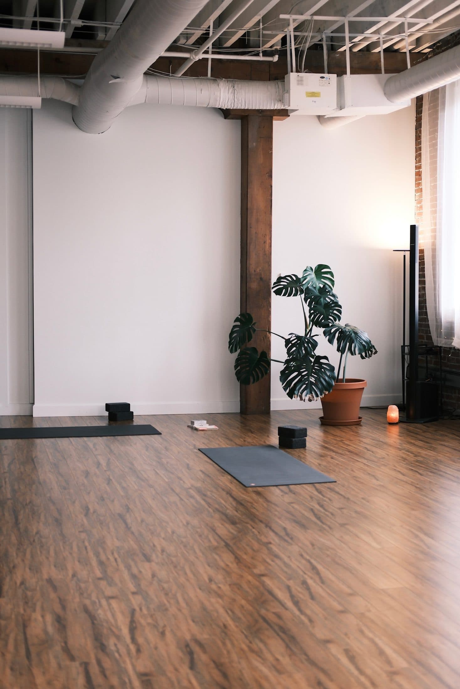 Open studio floor with mats, timber posts, and plants by the windows